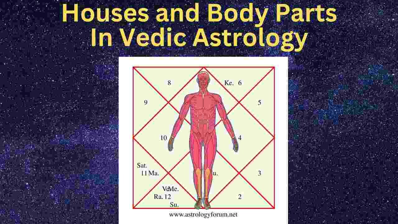 Houses and Body parts associated in astrology