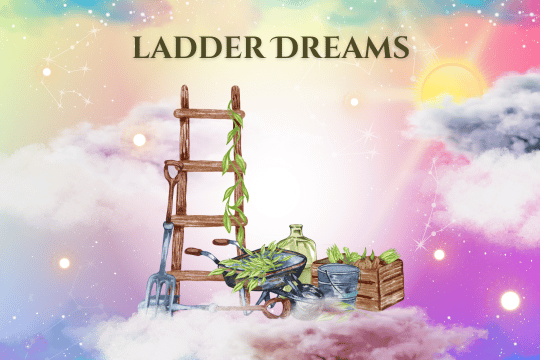 Ladder_Dreams