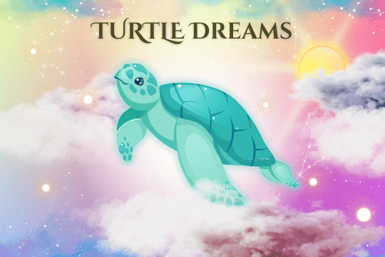 Turtle_Dreams